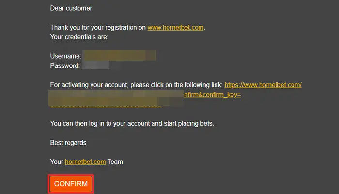 ホーネットベットカジノ入金不要ボーナスメール認証