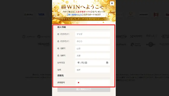 勝WINプロフィール入力画面