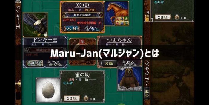 プロも賛成するMaru-Jan(マルジャン)を徹底解説!
