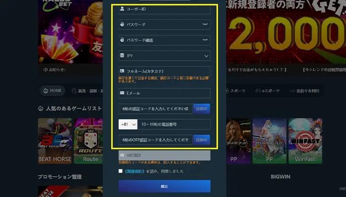 ラリーベットカジノアカウント情報入力