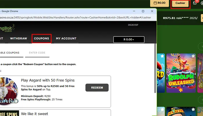 スプリングボクキャッシャー